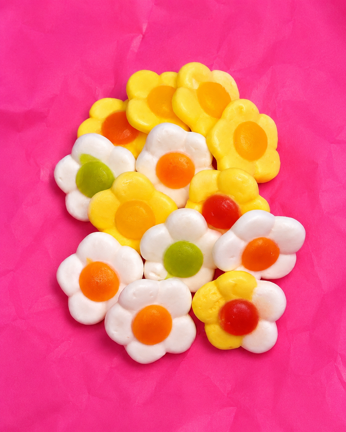 🌼 Fleurs Daisies Vegan Jake