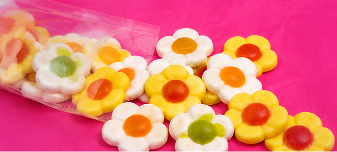 🌼 Fleurs Daisies Vegan Jake